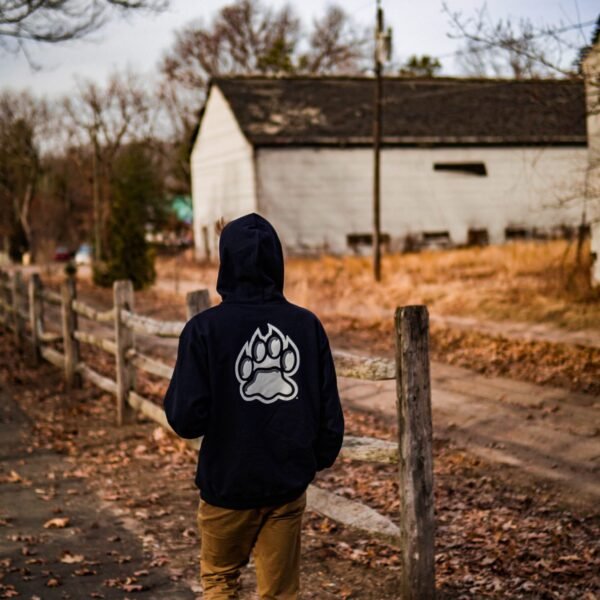 shawn-rodgers-tlbQWcTZf0I-unsplash shawn-rodgers-tlbQWcTZf0I-unsplash